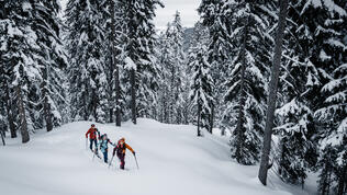 DB_5037_SKITOUR_WS2223_Hochfügen Wald_Max Draeger_MedRes_1