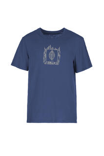 plan-front-royalblue